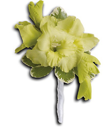 Grand Gladiolus Boutonniere from Parkway Florist in Pittsburgh PA